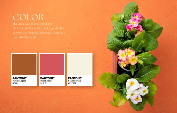 Lantana — Colour System
